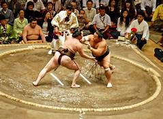 Powerful sumo bout in the ring