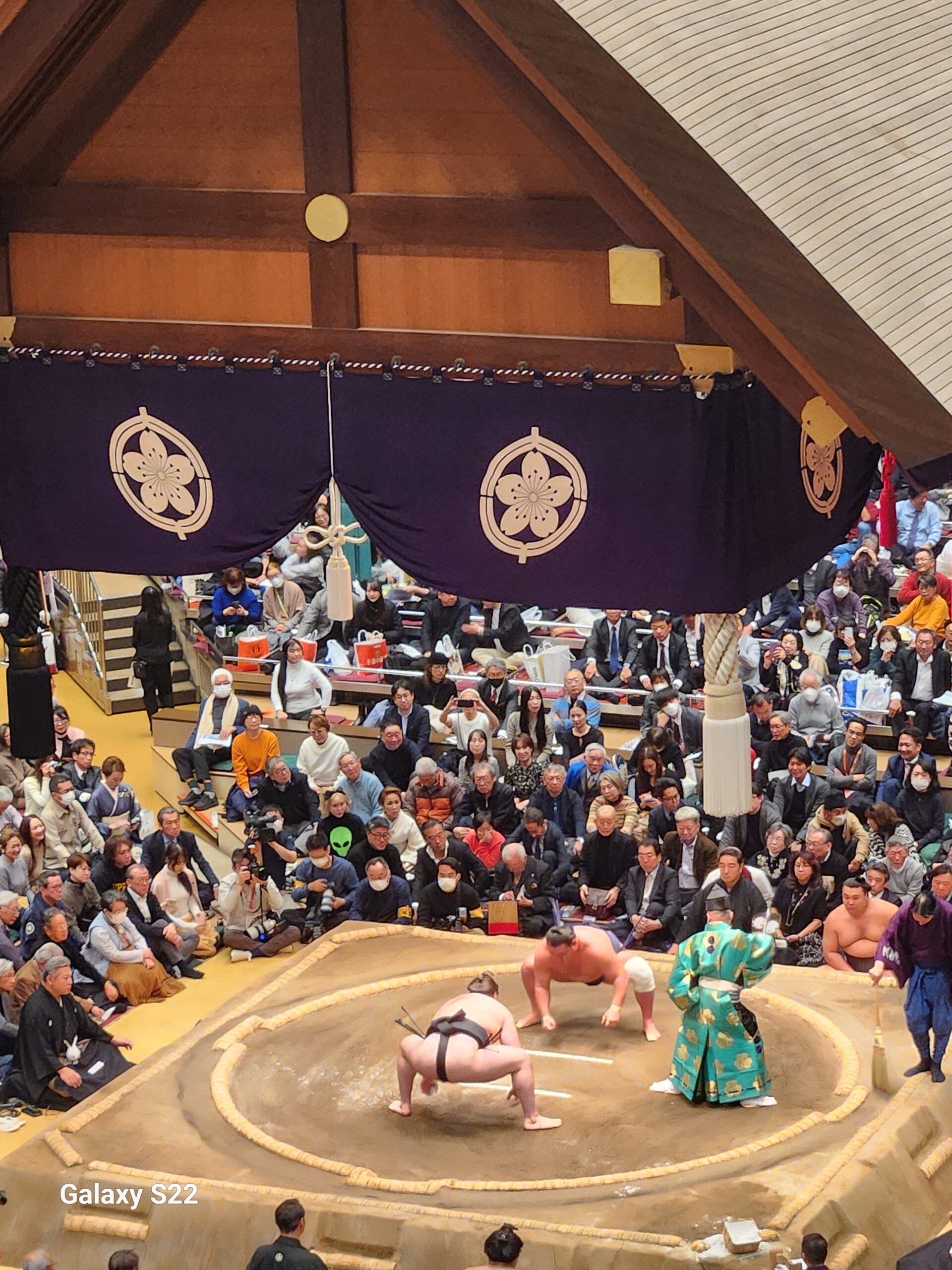 取り組みの様子