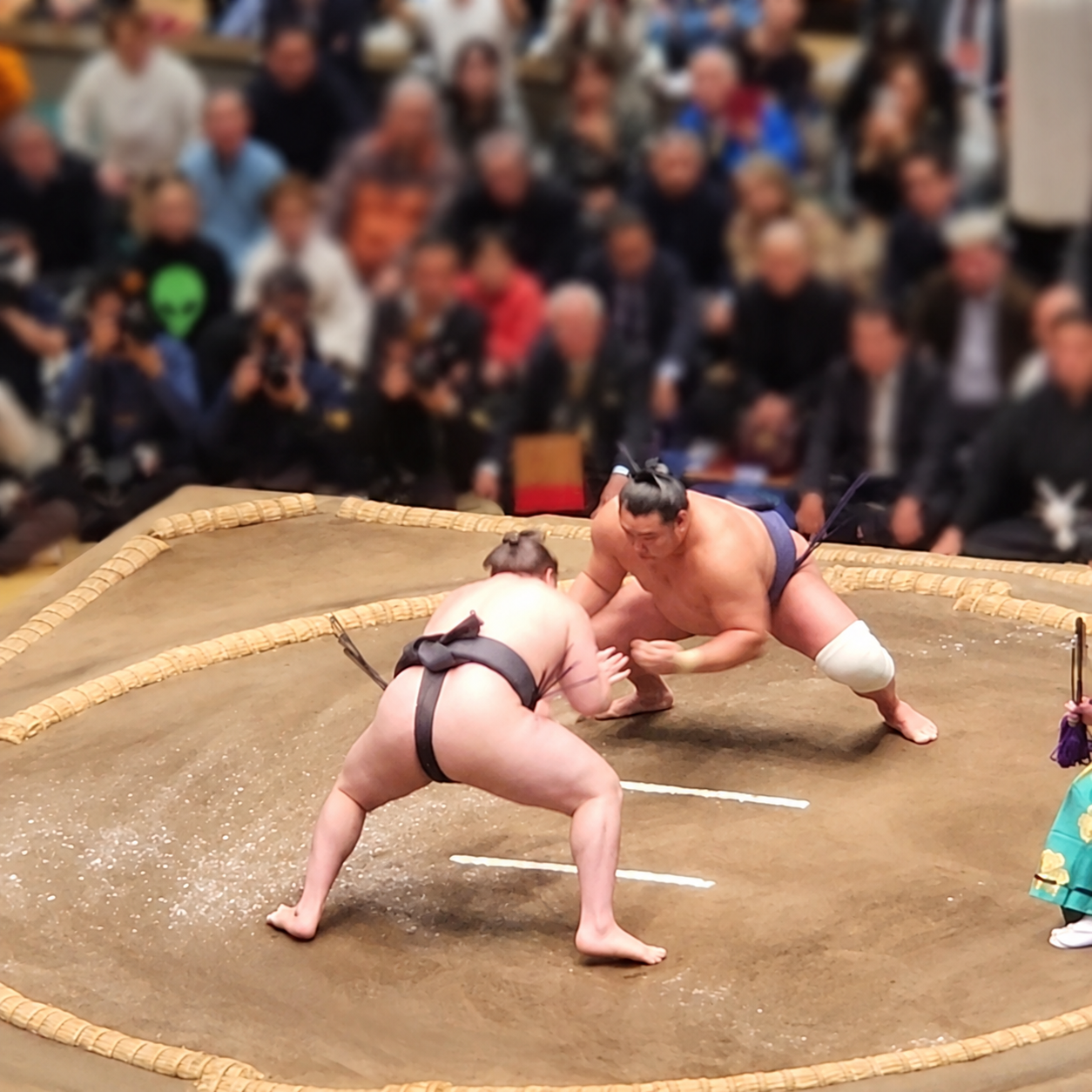 Sumo wrestlers competing in a thrilling match
